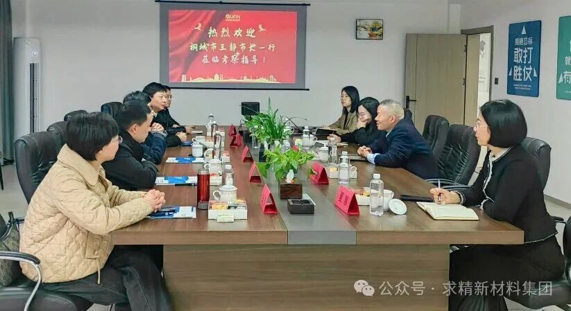 桐城市市长一行新春走访，政企同心共谋发展新篇